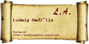 Ludwig Amália névjegykártya