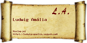 Ludwig Amália névjegykártya